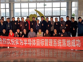 實為半導(dǎo)體目標(biāo)管理系統(tǒng)落地成功